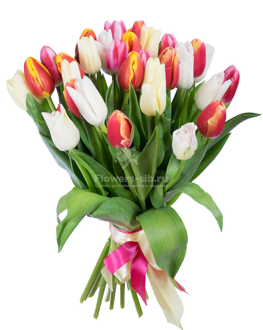 Bouquet of 31 tulips